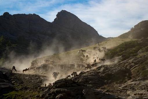 美国印第安大屠杀中死了多少印第安人酋长?