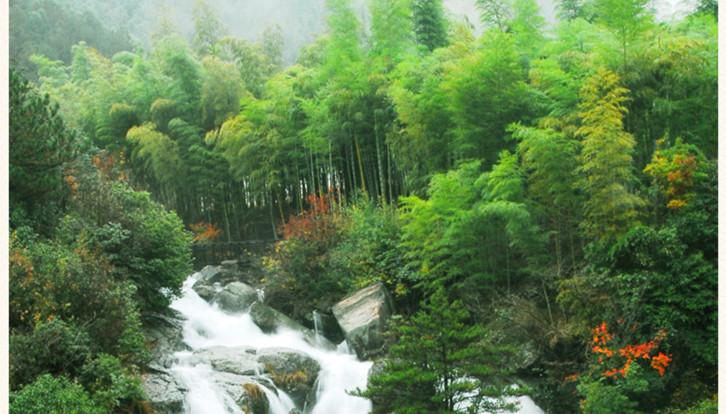 6、天目山风景区位于浙江省北部的长兴西北部地区,国家森林公园,省级风景名胜区。