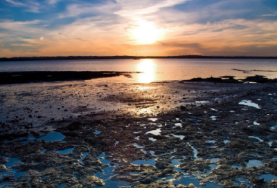 ​适可而止的经典语录【暗示将放弃感情的句子】