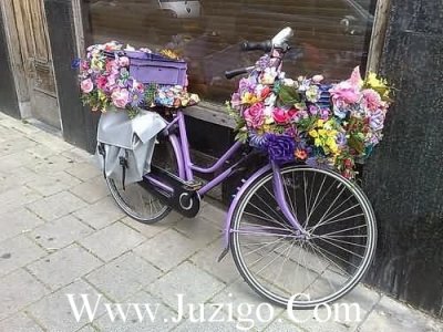 ​排比句十10句