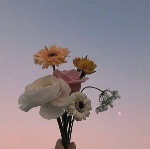 ​适合表白的很文艺句子语录，深情走心，恋爱必备