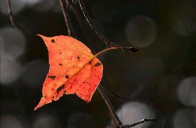 ​看透人情冷暖的句子（看透了人心冷暖的说说）