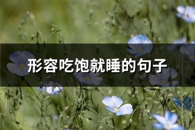 ​形容吃饱就睡的句子(推荐91句)