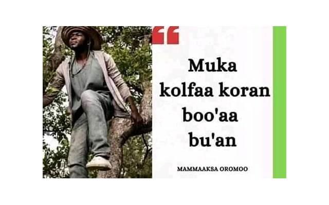 评价简短走心的句子细选80句 评价简短走心的句子细选80句