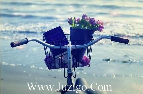 所有优美的句子比较优美的句子短句(精选55句)