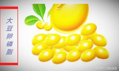 ​大豆卵磷脂的作用（保护肝脏 抵御外部侵害能力）