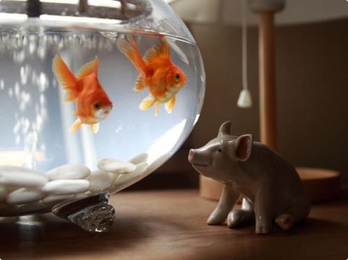 十个字周末愉快的句子