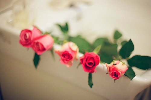 唯美句子大全(20句)