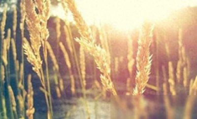 ​什么是尊严（超经典）