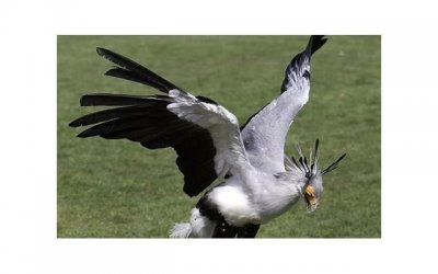 ​爱情公寓经典台词(精选61句)