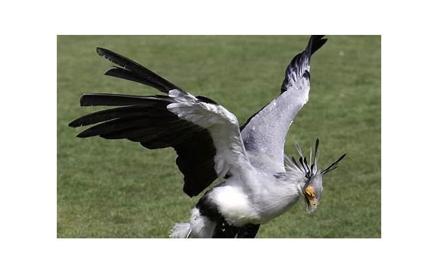 爱情公寓经典台词(精选61句)