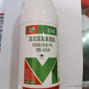 ​菊酯类农药有哪些，需要注意哪些使用事项？