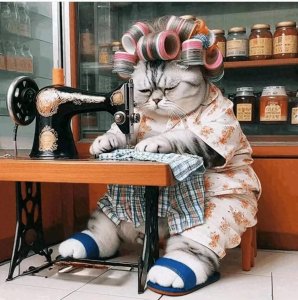 ​超级搞笑沙雕文案句子