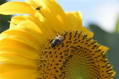 ​正能量早安句子配图，积极向上，振奋人心