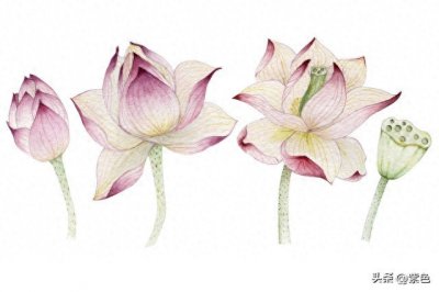 ​人到中年经典文案句子，中年人的生活感悟，句句经典！值得收藏