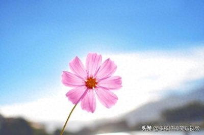 ​20条值得收藏的神仙句子：人生当苦无妨，良人当归即好