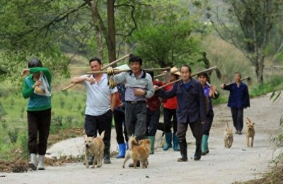 ​2019年，我国农村人口5.2亿多人，5年过去了，农村还剩下多少？