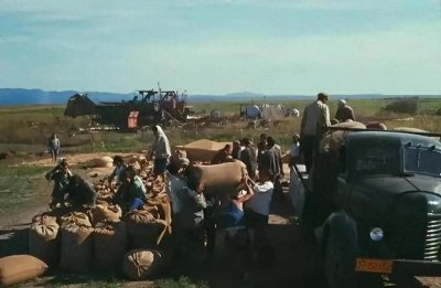 ​老知青带着陕北媳妇回北京，父母不给房子住，99年一口气买2套房