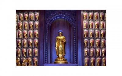 ​关于感恩老师的语段[20句] (家长用一句话感谢老师)