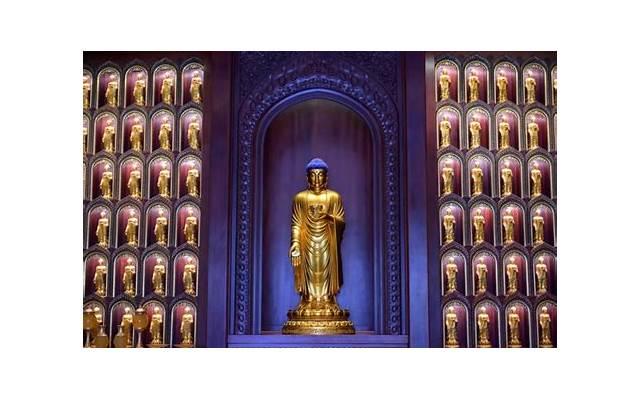 关于感恩老师的语段[20句] (家长用一句话感谢老师)