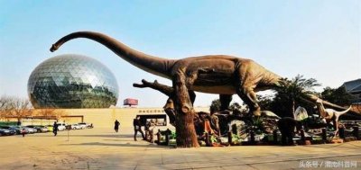 ​科普场馆介绍之—陕西自然博物馆