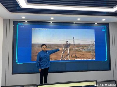 ​贺文君：尽心尽力守护好鸟类的“铁塔家园”