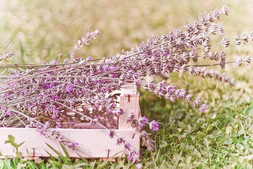 享受生活的唯美句子 句句深入人心的经典语录(56句)