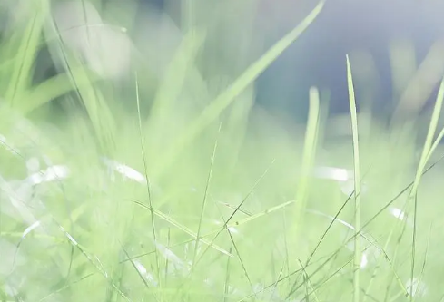 1687283427662143.png image.png