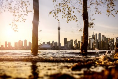 ​关于送走鼠年迎来牛年的说说