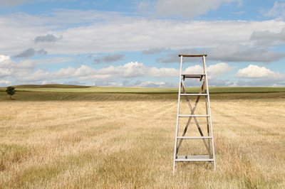 ​微信拍一拍搞笑后缀文字微信拍一拍文案可爱(精选116句)