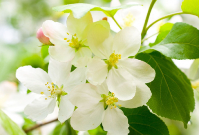 ​愚人节逗人文案，愚人节整蛊文案(精选71句)