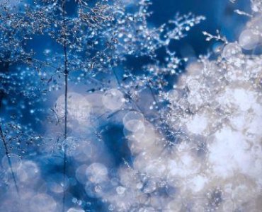 ​开心就笑的经典的句子 开心就笑的开心的语句(精选77句)