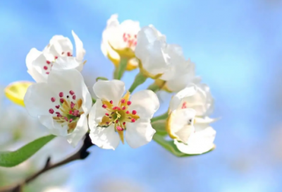 ​教师节对老师说的话