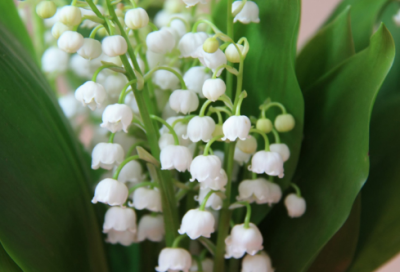 ​各种开车套路话汇总,一句污话把男友撩硬,开车文案秒湿(共79句)