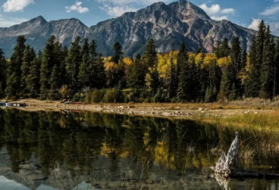 ​关于失眠发一条幽默的说说 失眠怎么幽默回复