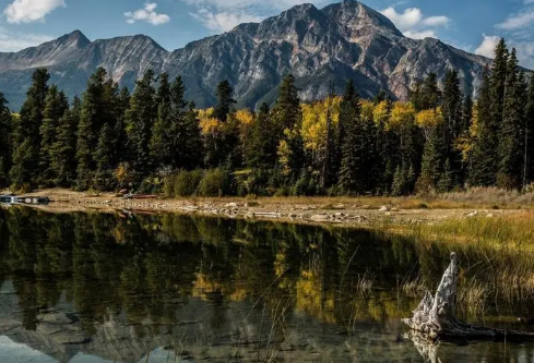 1711144219219988.png image.png