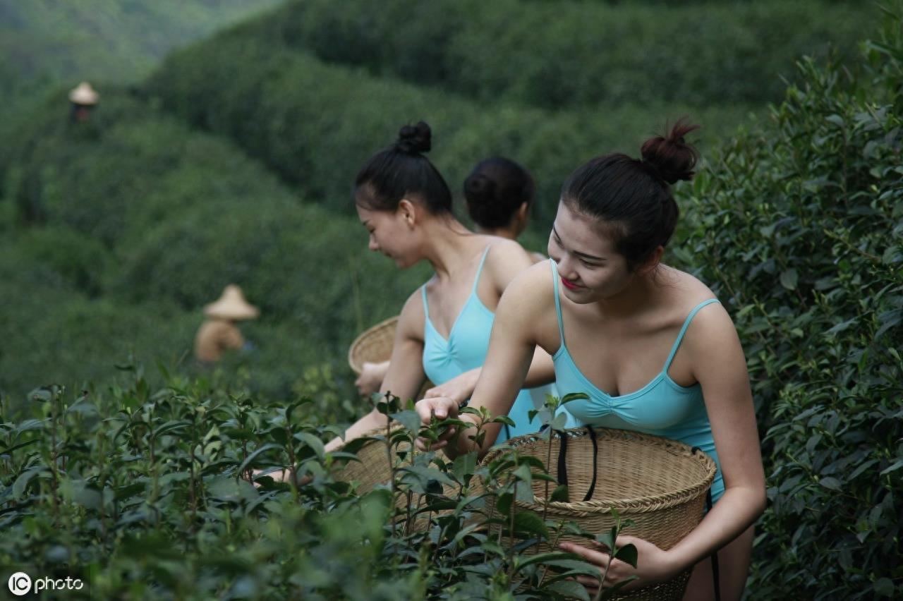 国风女团——树屋女孩