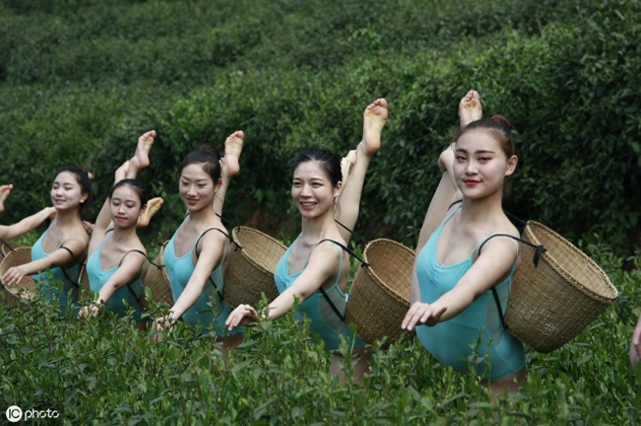 国风女团——树屋女孩