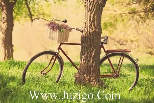 房地产宣传文案房地产的广告文案(精选65句)