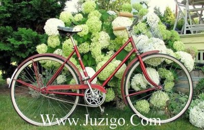 ​朋友圈晒花的唯美句子发朋友圈晒花的美句(精选35句)