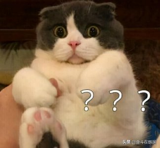 ​韩国Burning Sun事件再爆露骨聊天记录！男团成员胜利被求刑5年