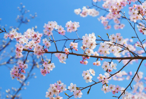 1687261601834176.png image.png