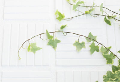 ​五一劳动节的优美句子文案