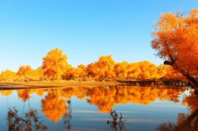 ​泸州老窖8年流金版价格零售(泸州老窖07版价格)