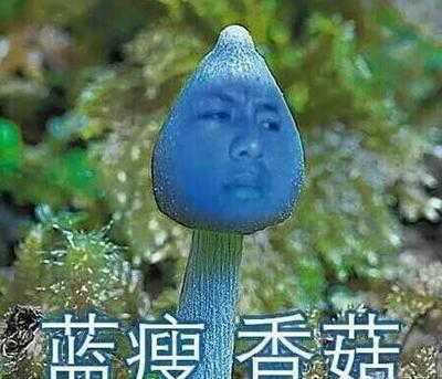 吃下炫蓝蘑菇可以让眼睛变蓝吗_野外我们如何识别毒蘑菇