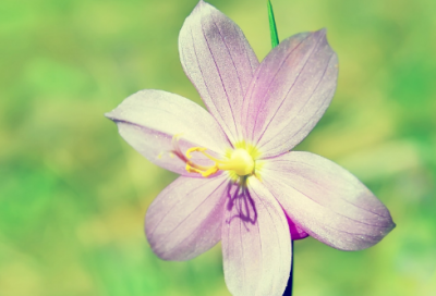 ​冬天吃饺子文案，冬至吃饺子朋友圈文案(66句)