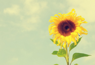 ​9月份的励志说说