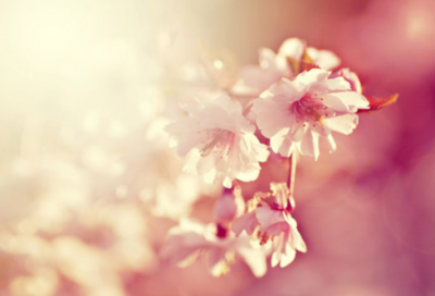 ​开车说说发朋友圈 开车的朋友圈说说