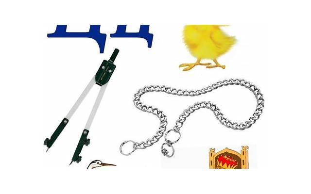 夏天来了搞笑文案抖音（夏天来了沙雕文案）