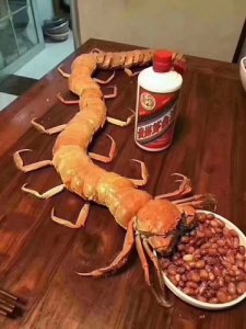 ​开开眼界！一睹拍卖场上那些年热捧的天价“绝版茅台酒”！